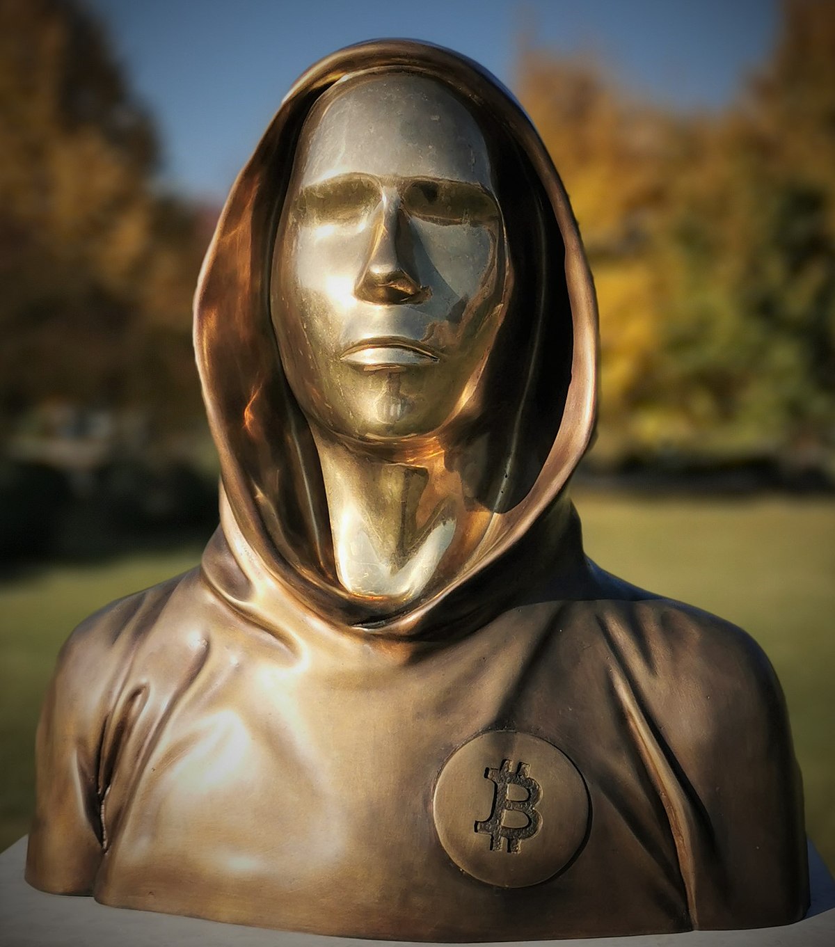 pseudo-satoshi-retrato